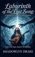 bokomslag Labyrinth of the Lost Song: A Melody of Seduction and Shadows