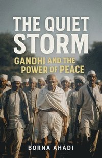 bokomslag The Quiet Storm: Gandhi and the Power of Peace