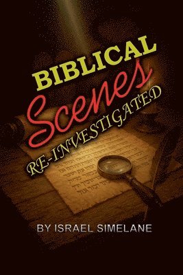 bokomslag Biblical Scenes Re-Investigated