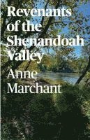 bokomslag Revenants of the Shenandoah Valley