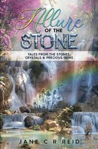 bokomslag Allure of the Stone