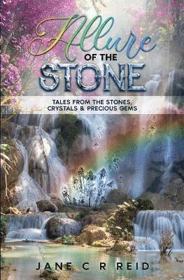 bokomslag Allure of the Stone