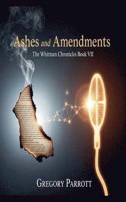 bokomslag Ashes and Amendments