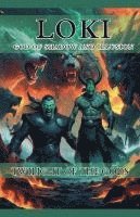 bokomslag Loki God of Shadow and Illusion: Twilight of the Gods