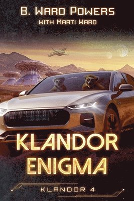bokomslag Klandor Enigma
