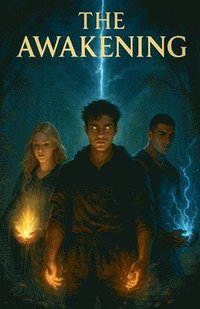 bokomslag Awakening