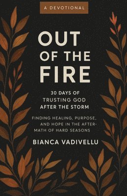 bokomslag Out of the Fire