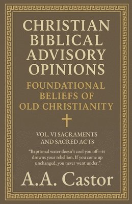bokomslag Christian Biblical Advisory Opinions