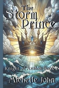 bokomslag Storm Prince