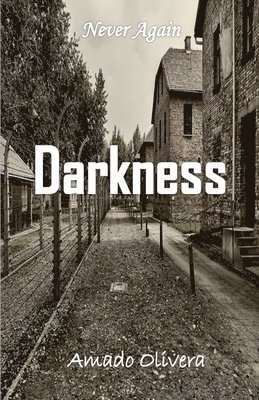 bokomslag Darkness