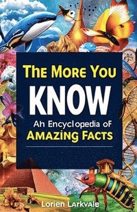 bokomslag The More You Know