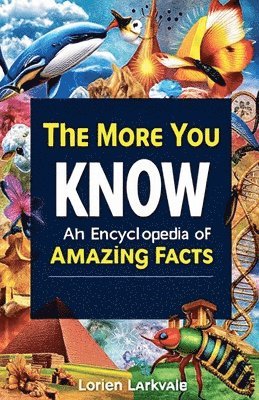 bokomslag The More You Know