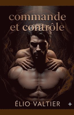 bokomslag commande et contrôle