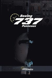 bokomslag Boeing 737 Panneaux