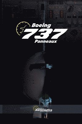 bokomslag Boeing 737 Panneaux