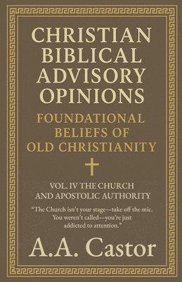 bokomslag Christian Biblical Advisory Opinions