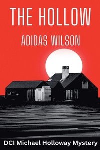 bokomslag Hollow - DCI Michael Holloway Mystery