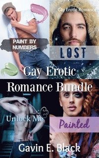 bokomslag Gay Erotic Romance Bundle