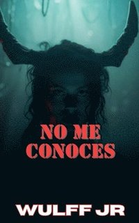 bokomslag No me conoses
