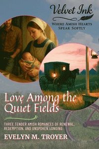 bokomslag Love Among the Quiet Fields