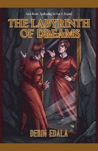 bokomslag The Labyrinth of Dreams