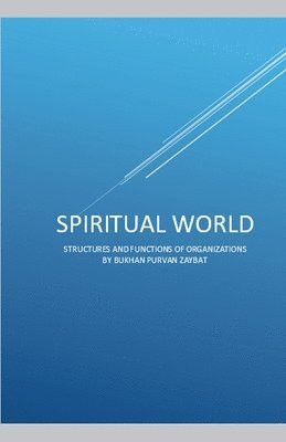 bokomslag Spiritual World