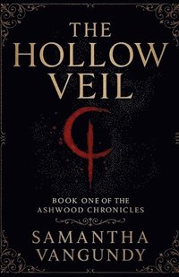 bokomslag Hollow Veil