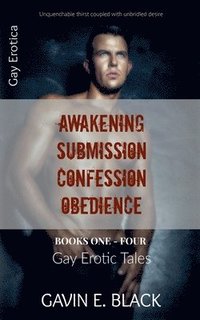 bokomslag Gay Erotic Tales
