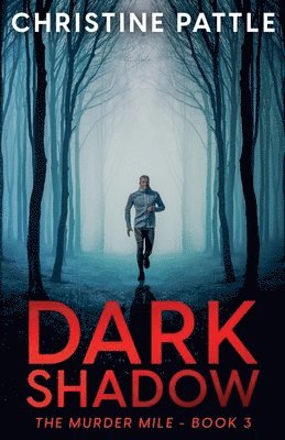 bokomslag Dark Shadow