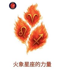 bokomslag &#28779;&#35937;&#26143;&#24231;&#30340;&#21147;&#37327;