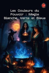 bokomslag Les Couleurs du Pouvoir