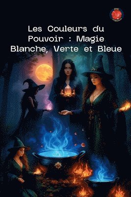 bokomslag Les Couleurs du Pouvoir