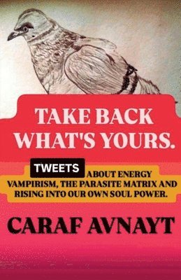 Caraf Avnayt - Take Back What's Yours, Häftad