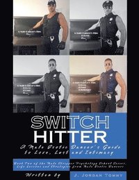 bokomslag Switch Hitter