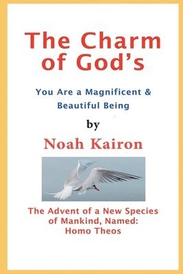 bokomslag Charm of God's; You Are a Magnificent and Beautiful Being