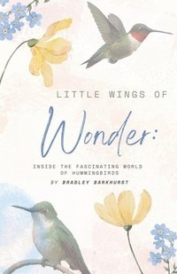 bokomslag Little Wings of Wonder