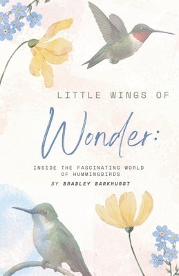 bokomslag Little Wings of Wonder