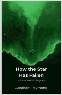 bokomslag How the Star Has Fallen