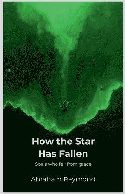 bokomslag How the Star Has Fallen