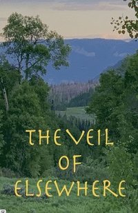 bokomslag The Veil of Elsewhere