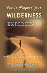 bokomslag How to Conquer Your Wilderness Experience