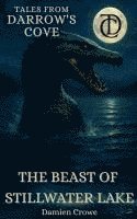 bokomslag Beast of Stillwater Lake