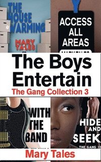 bokomslag Boys Entertain