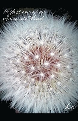 Reflections of an Intricate Mind