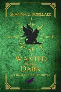 bokomslag Wanted in the Dark
