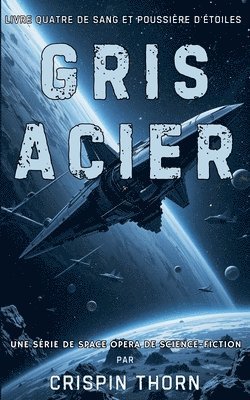 bokomslag Gris Acier