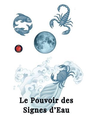 bokomslag Pouvoir des Signes d'Eau