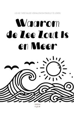 bokomslag Waarom de Zee Zout Is en Meer