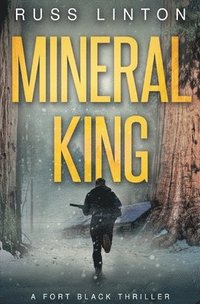 bokomslag Mineral King
