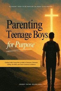 bokomslag Parenting Teenage Boys for Purpose
